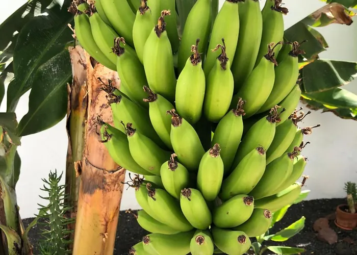 Villa Danko Playa Blanca (Lanzarote)